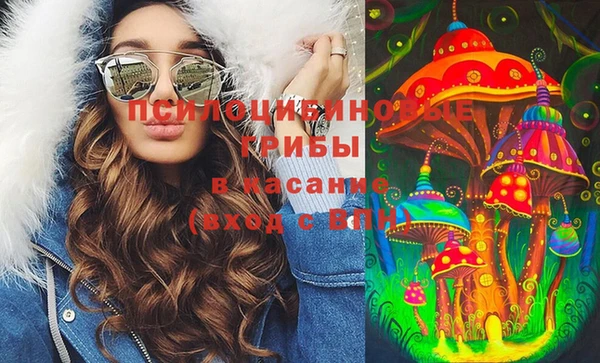 амф Россошь