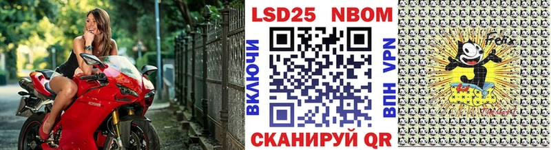 ОМГ ОМГ tor  Кедровый  Марки NBOMe 1,8мг 